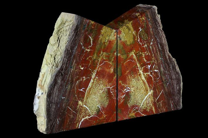 Arizona Petrified Wood Bookends - Red And Brown #117231